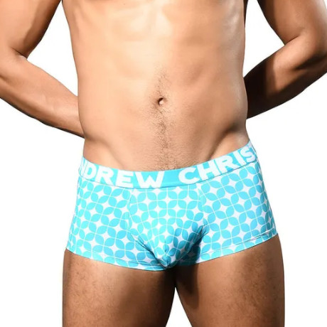 ANDREW CHRISTIAN Viceroy Boxer w/ ALMOST NAKED 93169