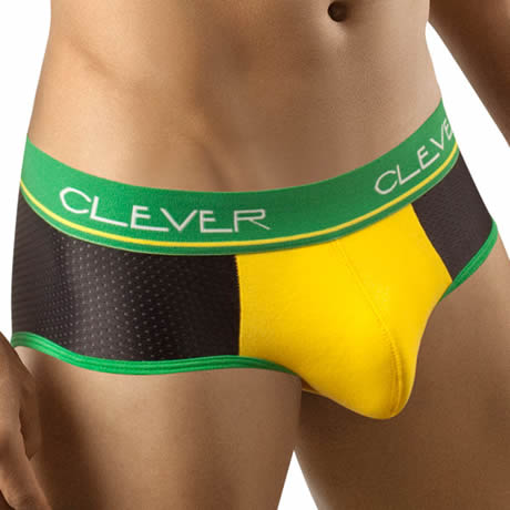 CLEVER Piping Mesh Brief 5102