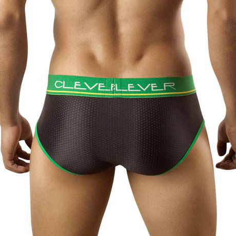 CLEVER Piping Mesh Brief 5102