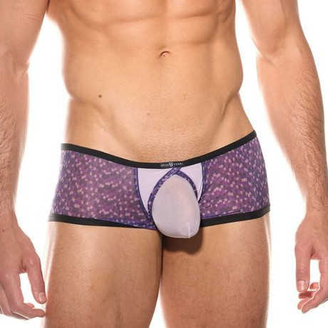 Gregg Homme BARE Trunk 201205