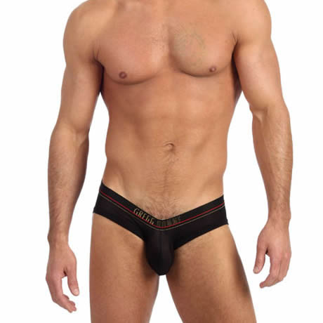 Gregg Homme CAPTURE Briefs 85903