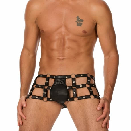 Gregg Homme OCTANE Boxer Briefs 66005