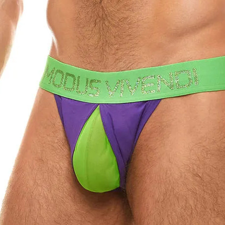 MODUS VIVENDI SECRET PLEAT Tanga Brief 03112