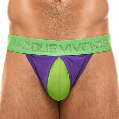 MODUS VIVENDI SECRET PLEAT Tanga Brief 03112