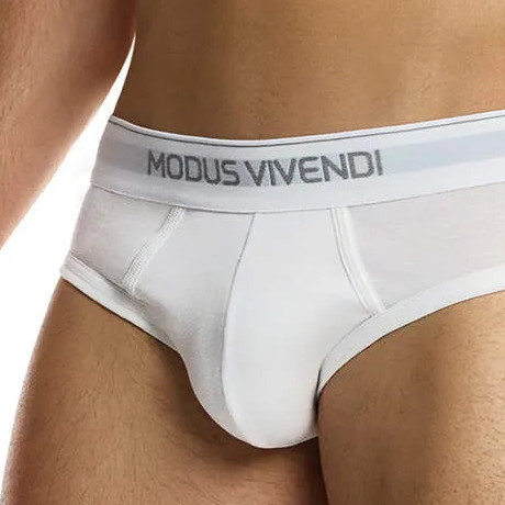 MODUS VIVENDI STAPLE 3-Pack Brief 12411-1