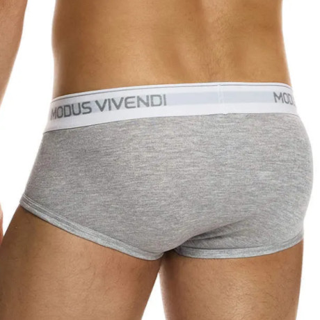 MODUS VIVENDI STAPLE 3-Pack Fly Brief 12412-1