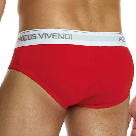 MODUS VIVENDI STAPLE Brief 12411