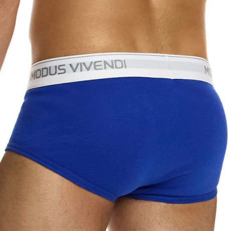 MODUS VIVENDI STAPLE Fly Brief 12412