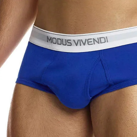 MODUS VIVENDI STAPLE Fly Brief 12412