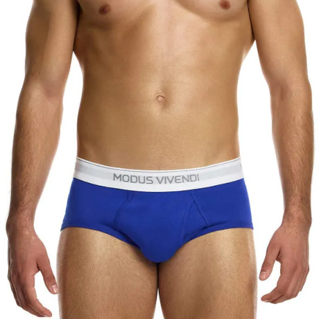 MODUS VIVENDI STAPLE Fly Brief 12412