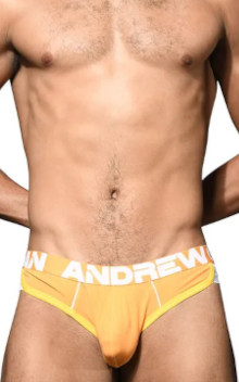 ANDREW CHRISTIAN Retro Brief w/ SHOW-IT 93366