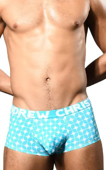 ANDREW CHRISTIAN Viceroy Boxer w/ ALMOST NAKED 93169