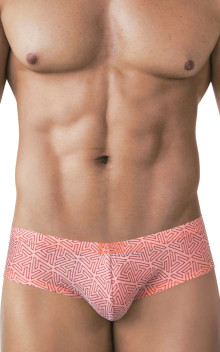 CLEVER Neon Brief 2017