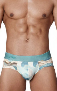 CLEVER SAND Brief 1319