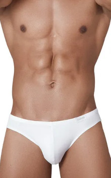 CLEVER URGE Brief 1316