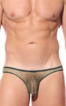 Gregg Homme DRAGONFLY Brief 210003