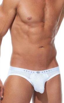 Gregg Homme ROOM-MAX AIR Brief 172603