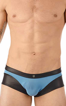 Gregg Homme TWO-TIMER Boxer Briefs 130305