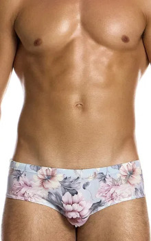 MODUS VIVENDI ROMANCE Brief 07514