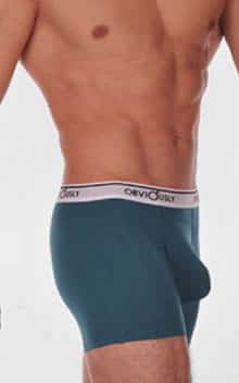 Obviously for Men Chromatic Full Cut Boxer Brief
